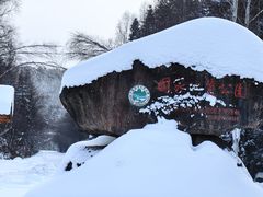 -汤旺河林海奇石景区