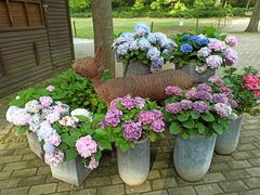 -共青国家森林公园-南大门停车场