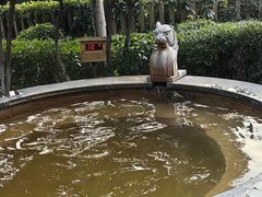 -张家港金凤凰度假村温泉