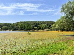 -南京维景国际大酒店(南京博物院店)