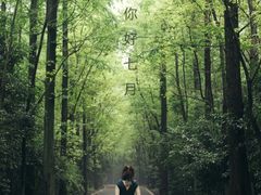 -东平国家森林公园