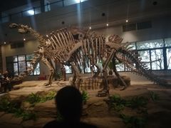 -自贡恐龙博物馆