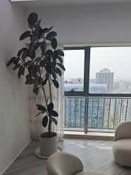 -HEYAN荷妍专业脱毛连锁机构