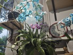 -FEI FEI FLOWER鲜花店·气球派对·宝宝宴布置(虹口德必运动Loft店)
