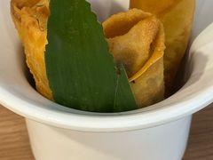 -莱莱小笼·乔艾