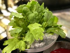 -王家渡火锅(金宝汇店)