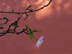 -丝绸小镇荻港古村