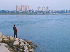 -张坝桂圆林公园