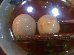 -星鸿社重庆老火锅(燃灯寺分店)