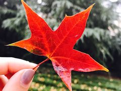 -山东理工大学