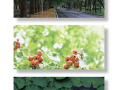 -河南省黄河迎宾馆