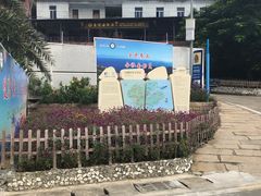 -东澳岛