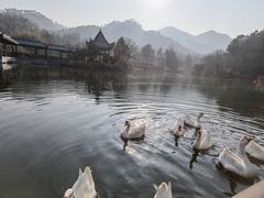 -黄陂区野村谷景区