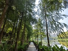 -重庆彩云湖湿地公园