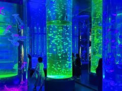 -海合安成都极地海洋公园
