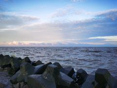 -南汇嘴观海公园