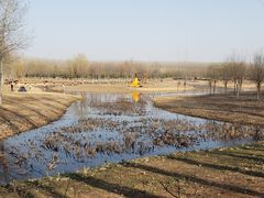 -东郊湿地公园
