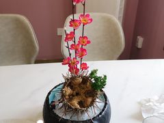 -海胆小馆(东北水饺·春柳店)