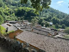 -杨家堂村