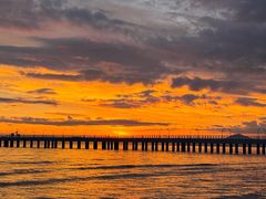 -靓靓蒸虾·头牌蒸虾(雪松路总店)