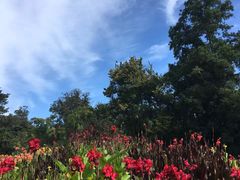 -墨尔本皇家植物园