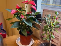 -品茗轩茶楼(江川路店)