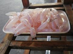 -章记正宗南岗鱼蛋火锅