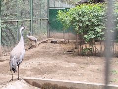 -青藏高原野生动物园