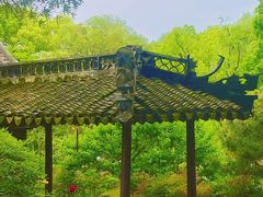 -上海醉白池公园