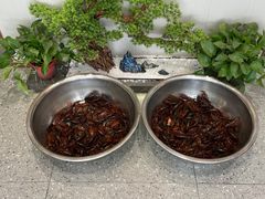 小龙虾一百元-西城饭店南京菜(新浦路店)