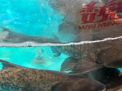 -魏铭鱼头捞饭(晋阳路店)