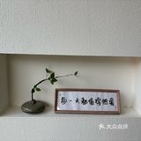 安静的小院喝茶环境不错