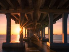 -宝安西湾红树林湿地公园