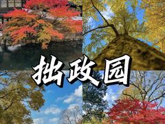 -留园
