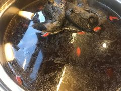 -太婆天府山珍酒楼(亚运村店)