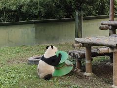 -上海野生动物园