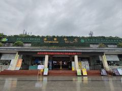 -中国大熊猫保护研究中心雅安碧峰峡基地