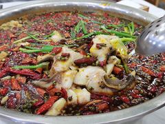 -乡土特色.冷锅鱼.牦牛肉汤锅