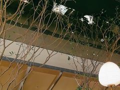 -桂满陇·海市蜃楼·黑金(国金店)