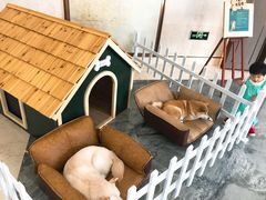 -上海崇明金茂凯悦酒店