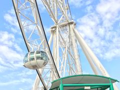 -墨尔本之星 观景摩天轮