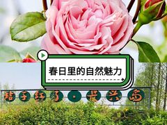 -前小桔亲子创意农场·草莓采摘·露营烧烤