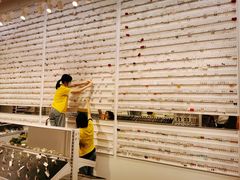 -KKV(深圳kk one 店)