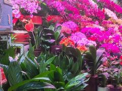 -三旗百汇商品城