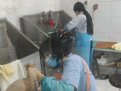 -利又安动物医院··老年病·猫科犬科·中兽医