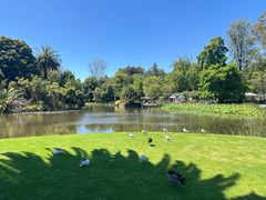 -墨尔本皇家植物园