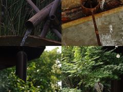 -灵隐飞来峰景区