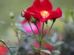 -人民公园(罗湖区)