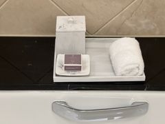 -广州富力丽思卡尔顿酒店