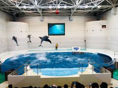-鹿儿岛水族馆